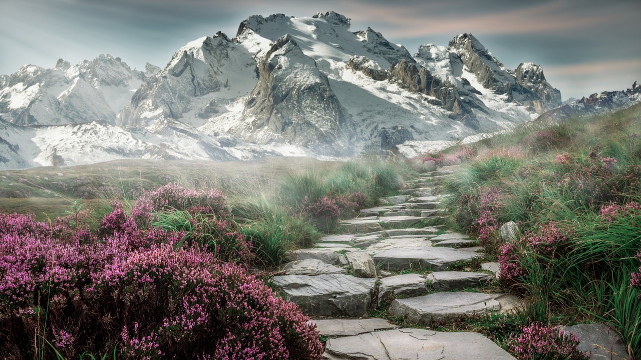 Wooka : explorez sa nouvelle adresse et ses offres uniques